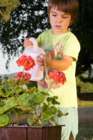 Barn som vattnar blommor