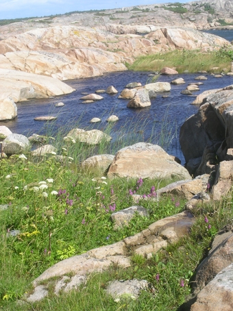 Klippor och vatten